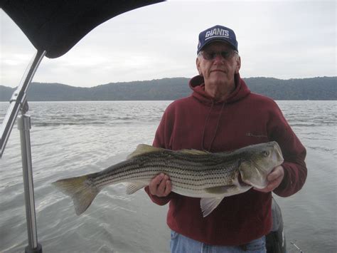 striper forum|Hudson River .